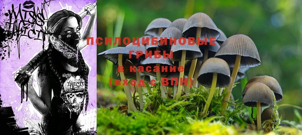 mdpv Осташков