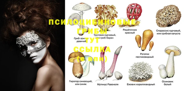 винт Лиски
