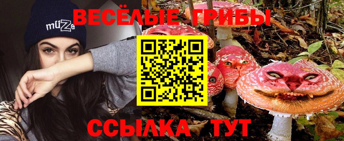 Псилоцибиновые грибы MAGIC MUSHROOMS  Кунгур 