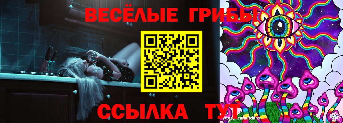 Галлюциногенные грибы мицелий  Вход с VPN  Галлюциногенные грибы Psilocybine cubensis  Кунгур 